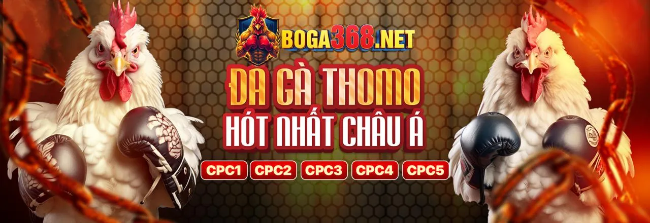 Đá Gà Trực Tiếp SODO99 Trên App